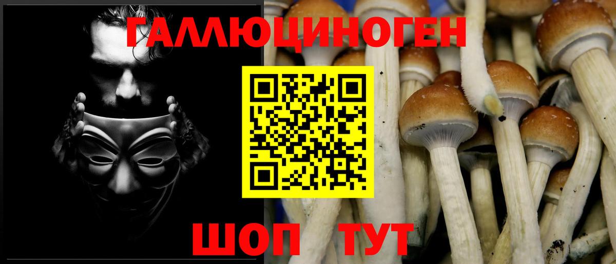 Советский  Галлюциногенные грибы Psilocybine cubensis  Вход с VPN 